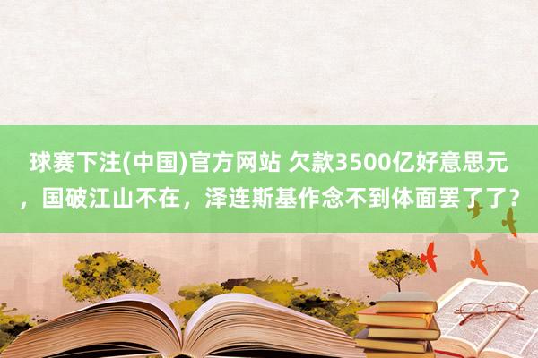 球赛下注(中国)官方网站 欠款3500亿好意思元，国破江山不在，泽连斯基作念不到体面罢了了？