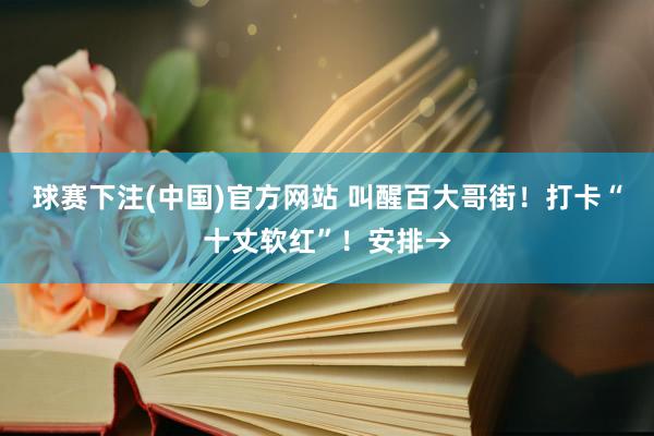 球赛下注(中国)官方网站 叫醒百大哥街！打卡“十丈软红”！安排→