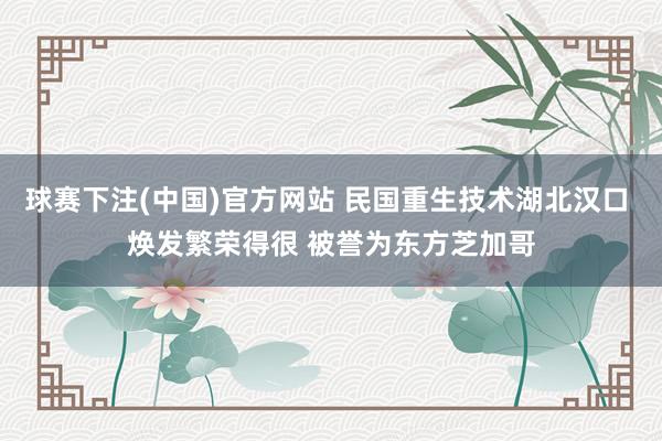 球赛下注(中国)官方网站 民国重生技术湖北汉口 焕发繁荣得很 被誉为东方芝加哥