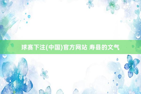 球赛下注(中国)官方网站 寿县的文气