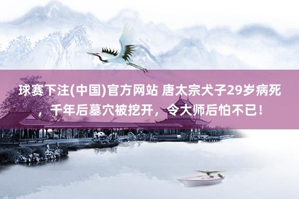 球赛下注(中国)官方网站 唐太宗犬子29岁病死，千年后墓穴被挖开，令大师后怕不已！