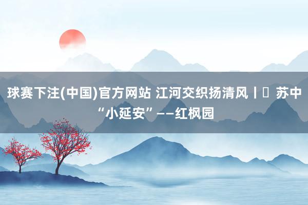 球赛下注(中国)官方网站 江河交织扬清风丨㉘苏中“小延安”——红枫园