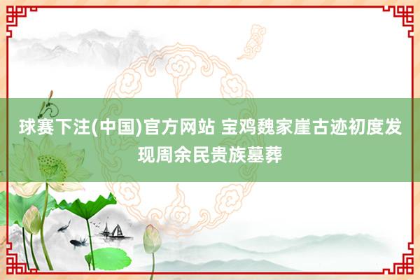 球赛下注(中国)官方网站 宝鸡魏家崖古迹初度发现周余民贵族墓葬