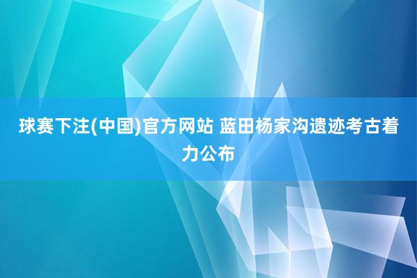 球赛下注(中国)官方网站 蓝田杨家沟遗迹考古着力公布