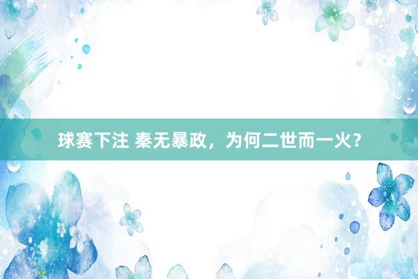 球赛下注 秦无暴政，为何二世而一火？