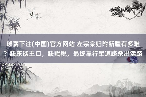 球赛下注(中国)官方网站 左宗棠归附新疆有多难？缺东谈主口，缺赋税，最终靠行军道路杀出活路