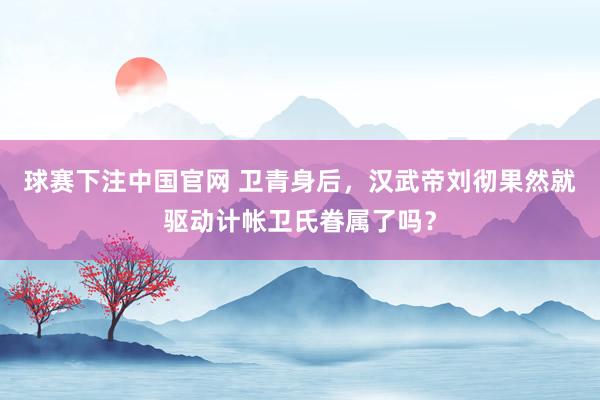 球赛下注中国官网 卫青身后，汉武帝刘彻果然就驱动计帐卫氏眷属了吗？