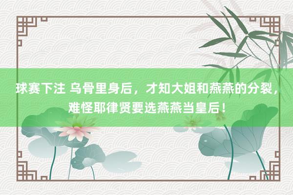 球赛下注 乌骨里身后，才知大姐和燕燕的分裂，难怪耶律贤要选燕燕当皇后！