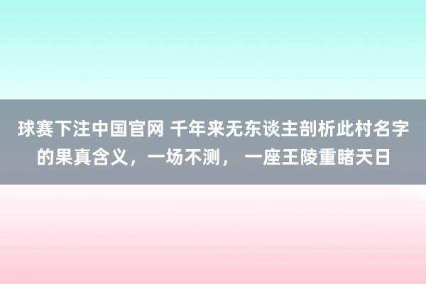 球赛下注中国官网 千年来无东谈主剖析此村名字的果真含义，一场不测， 一座王陵重睹天日