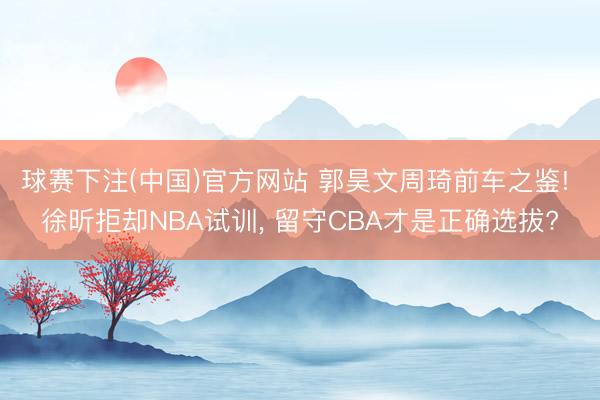 球赛下注(中国)官方网站 郭昊文周琦前车之鉴! 徐昕拒却NBA试训， 留守CBA才是正确选拔?