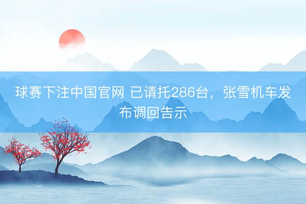 球赛下注中国官网 已请托286台，张雪机车发布调回告示