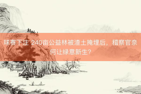 球赛下注 240亩公益林被渣土掩埋后，稽察官奈何让绿意新生？