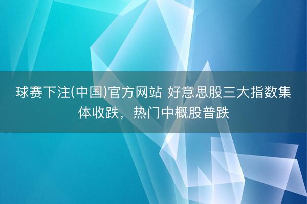 球赛下注(中国)官方网站 好意思股三大指数集体收跌，热门中概股普跌